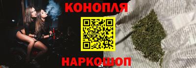 дживик Моздок