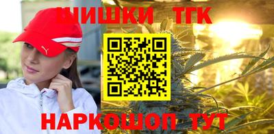 дживик Моздок