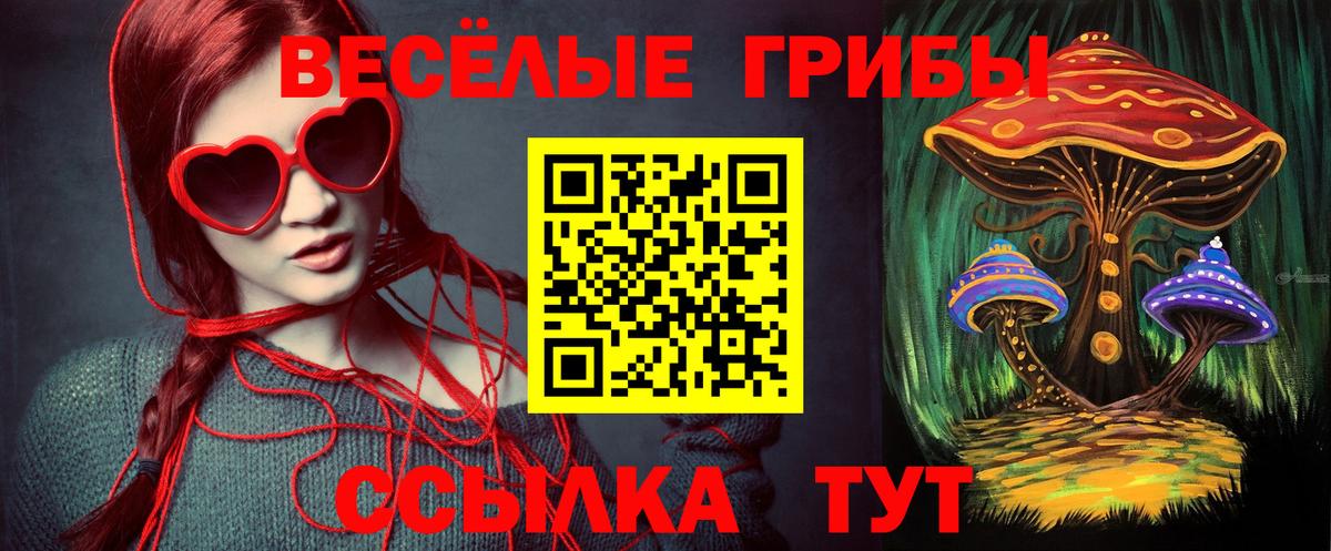 цена наркотик  Вход с VPN  Алатырь  Псилоцибиновые грибы Magic Shrooms  Псилоцибиновые грибы Psilocybe 