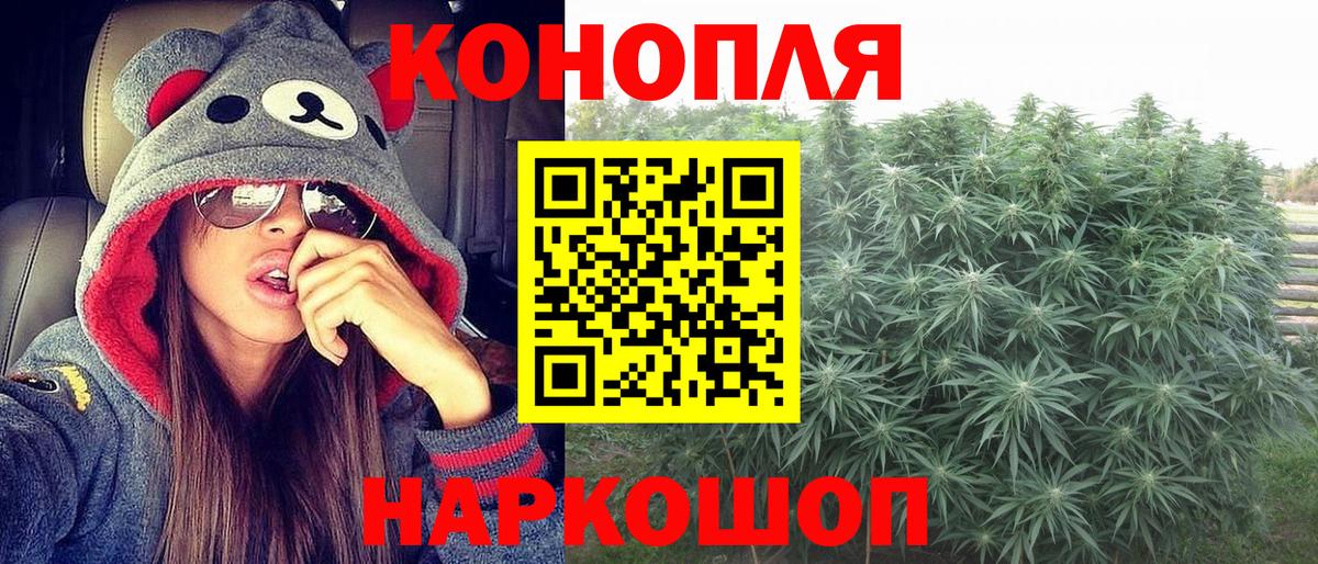 Бошки марихуана конопля Алатырь